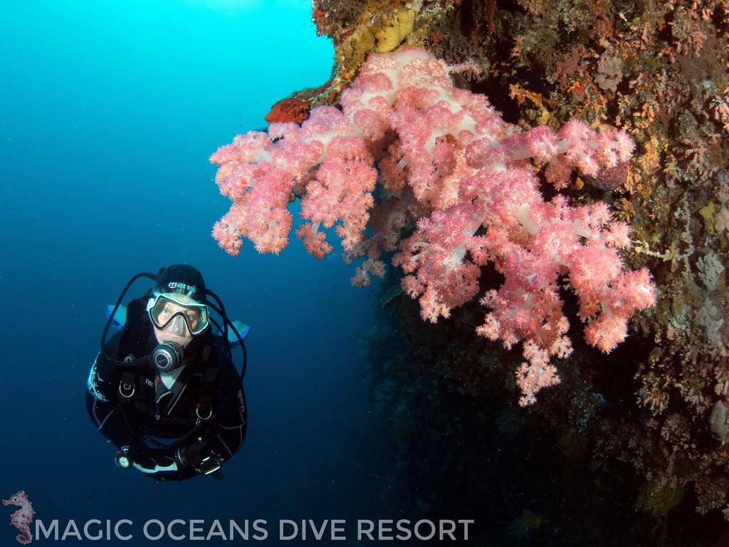 Magic Oceans Dive Resort Anda  Bagian luar foto