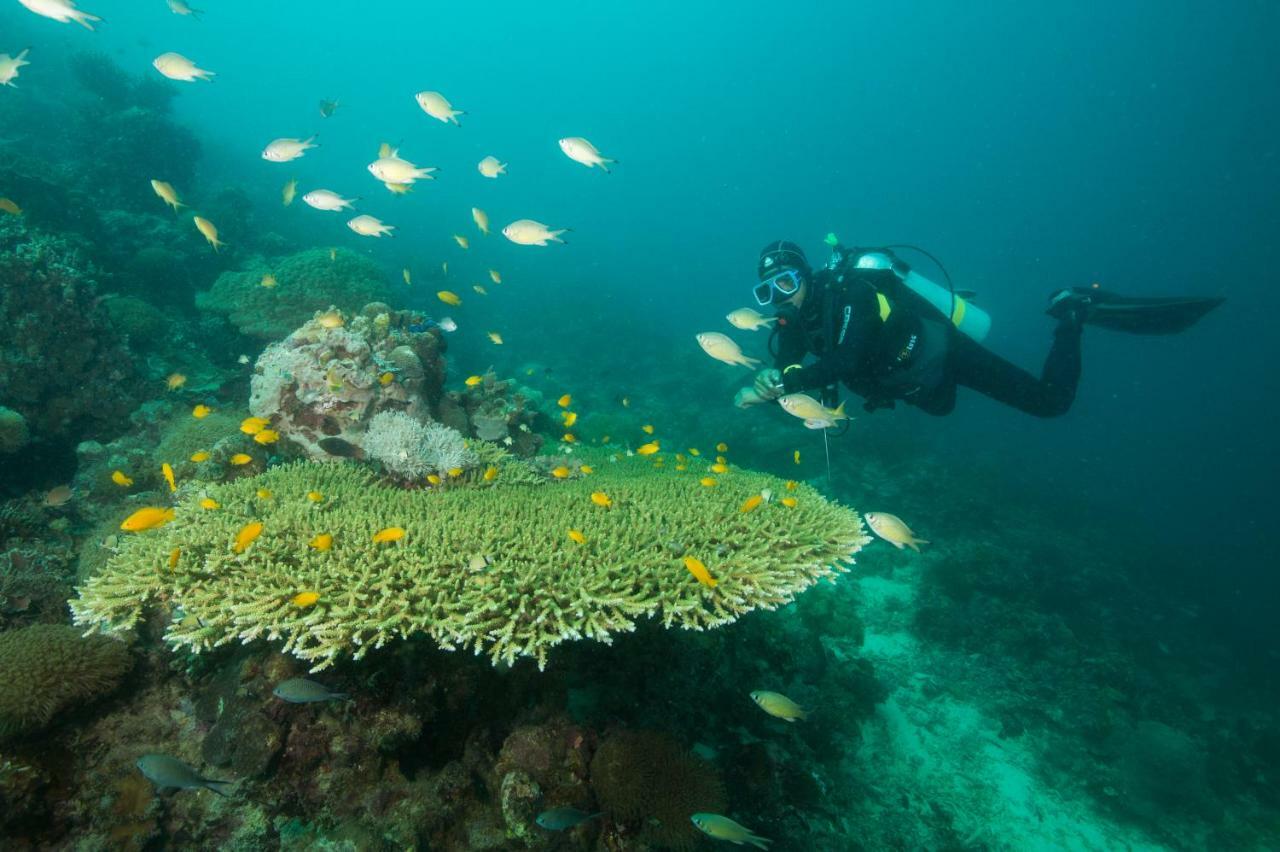 Magic Oceans Dive Resort Anda  Bagian luar foto